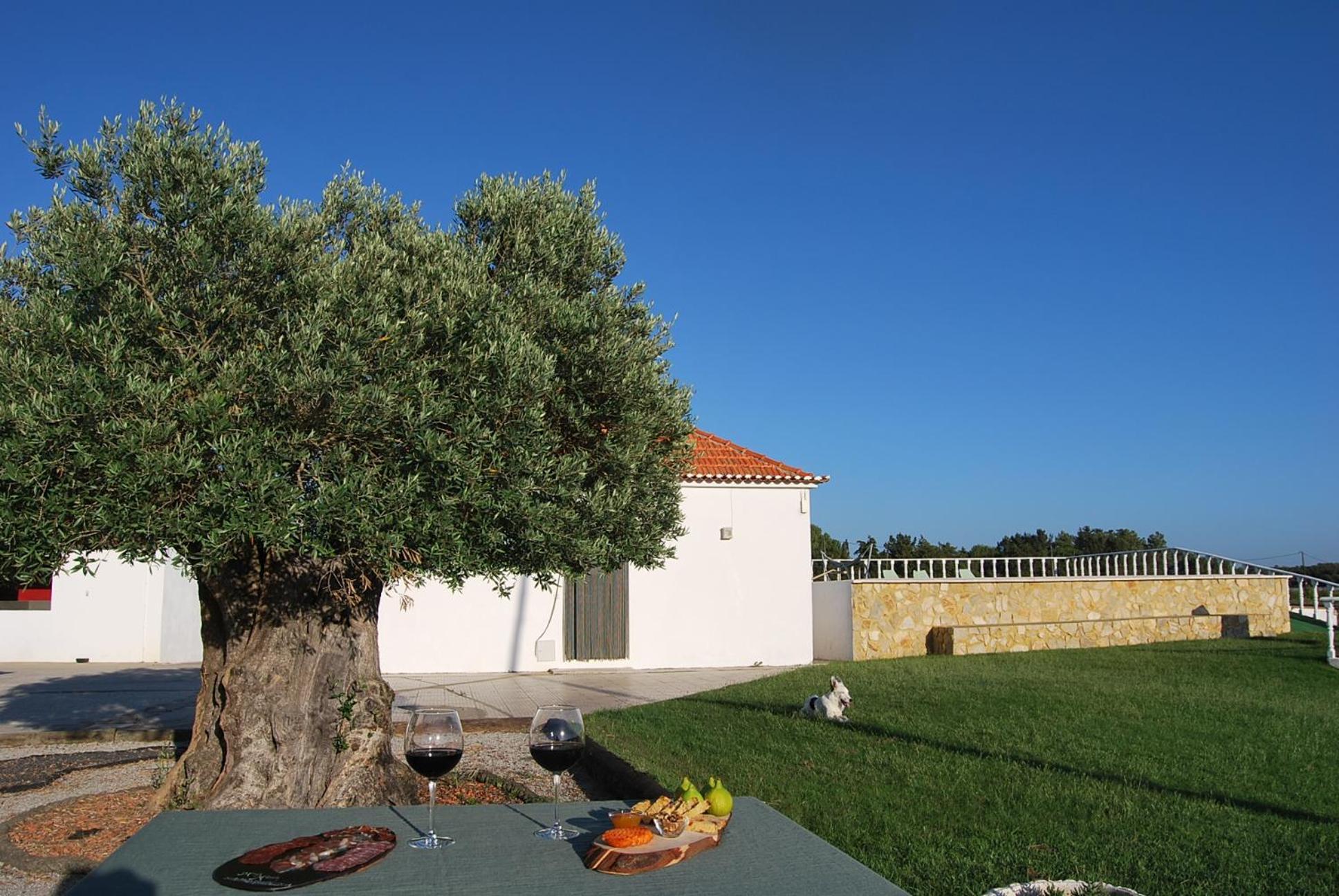 Holiday home Adega Monte Maneta *
