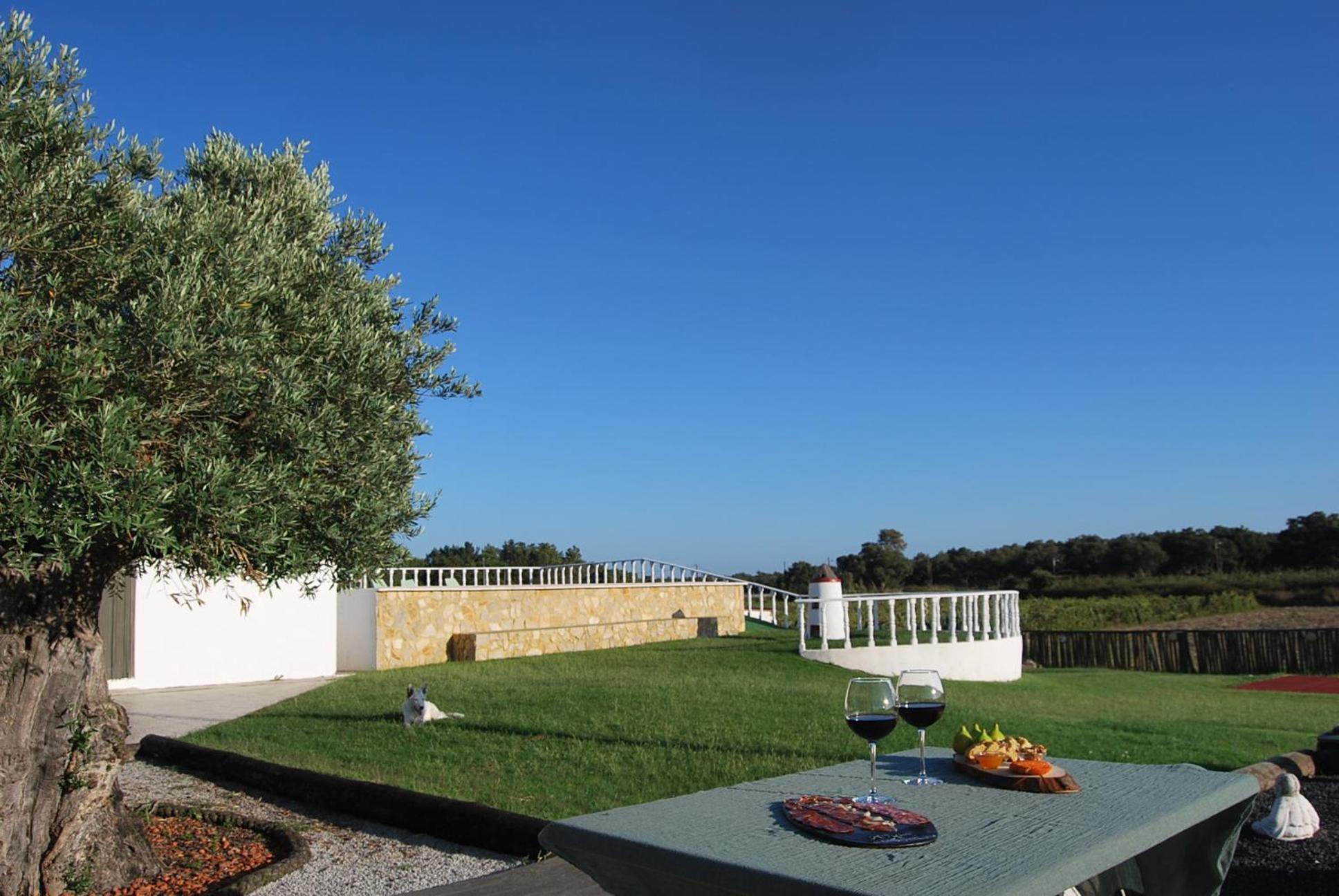 Holiday home Adega Monte Maneta *
