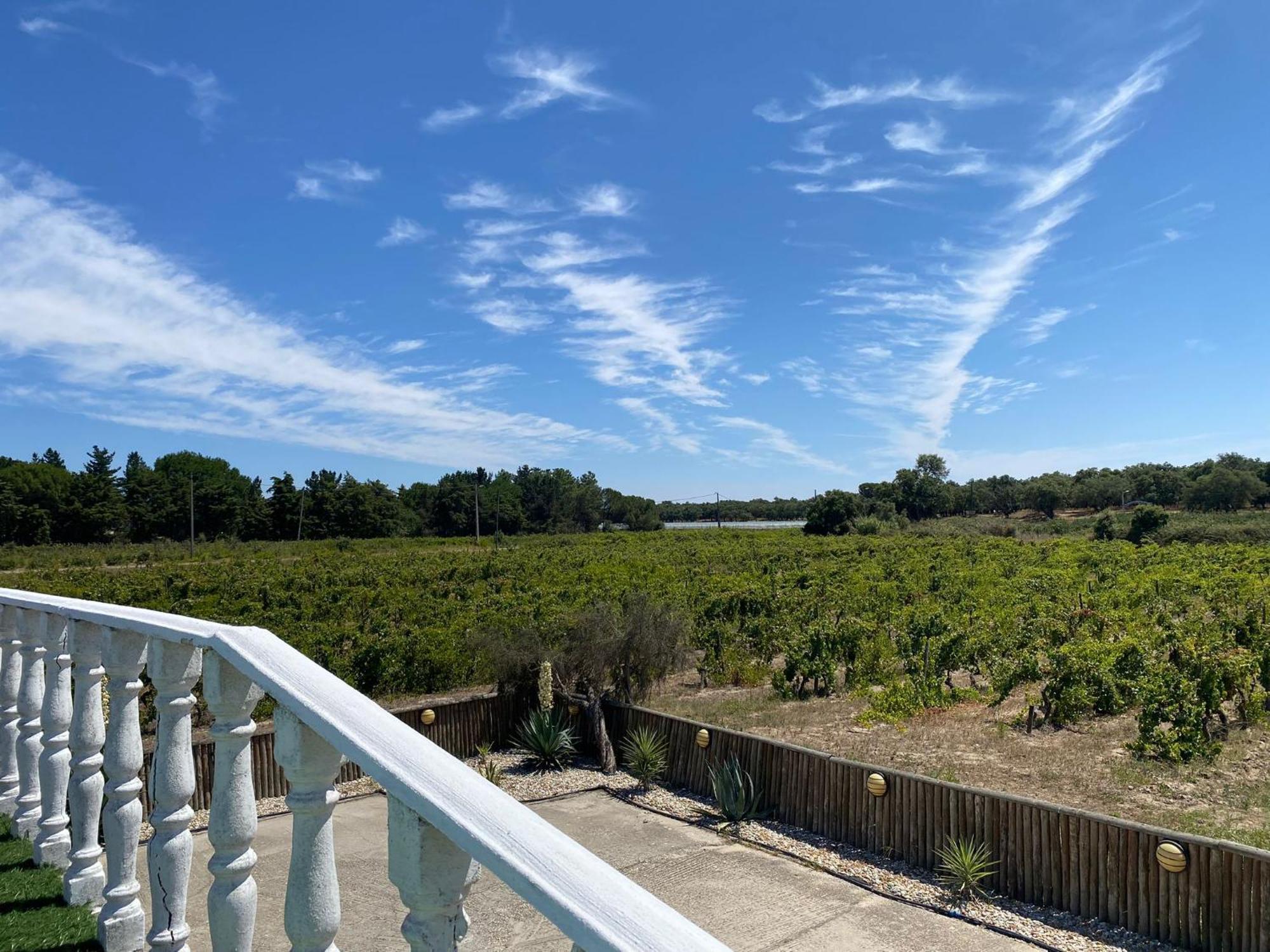 Holiday home Adega Monte Maneta